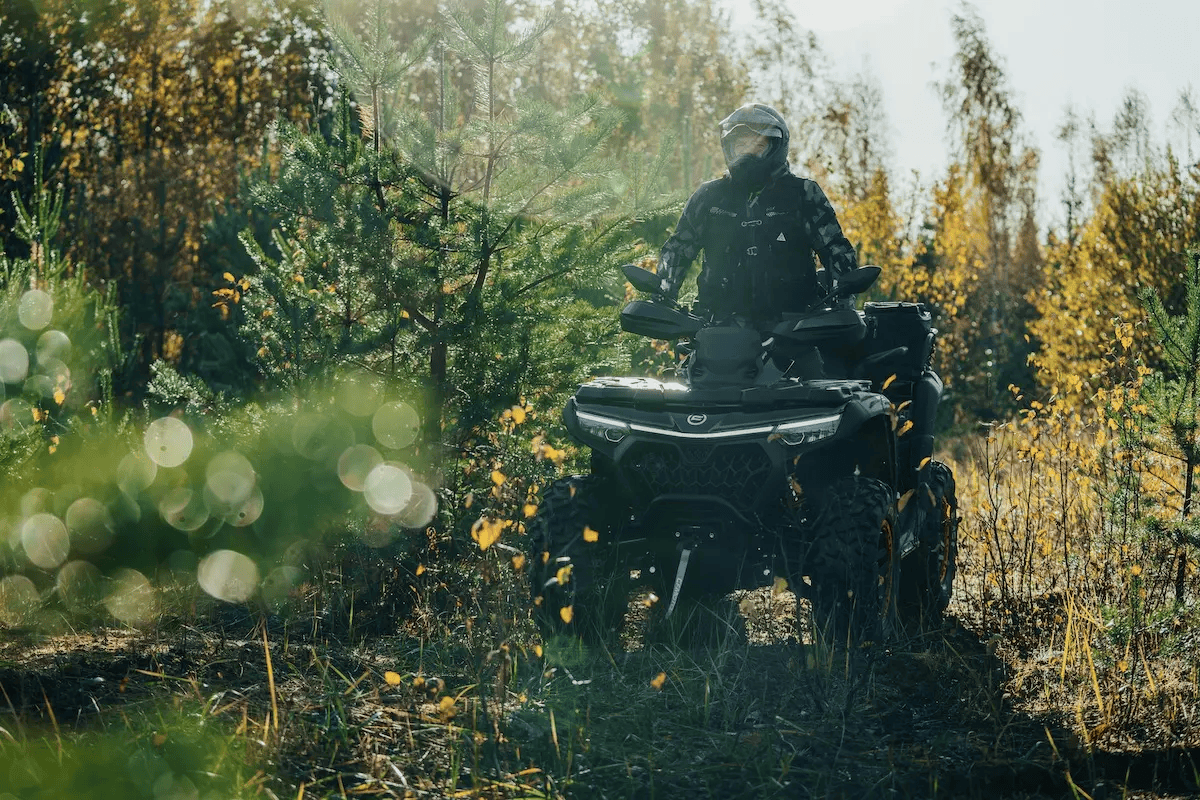CFMOTO-850-1000-85.png